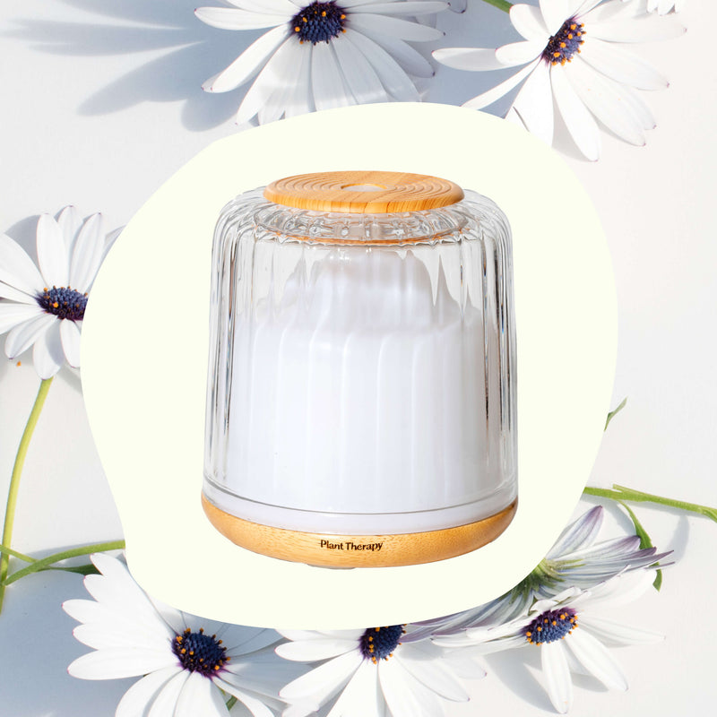 Plant Therapy Serenity Glass Diffuser Diffuser Beige