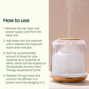 Plant Therapy Serenity Glass Diffuser Diffuser Seashell