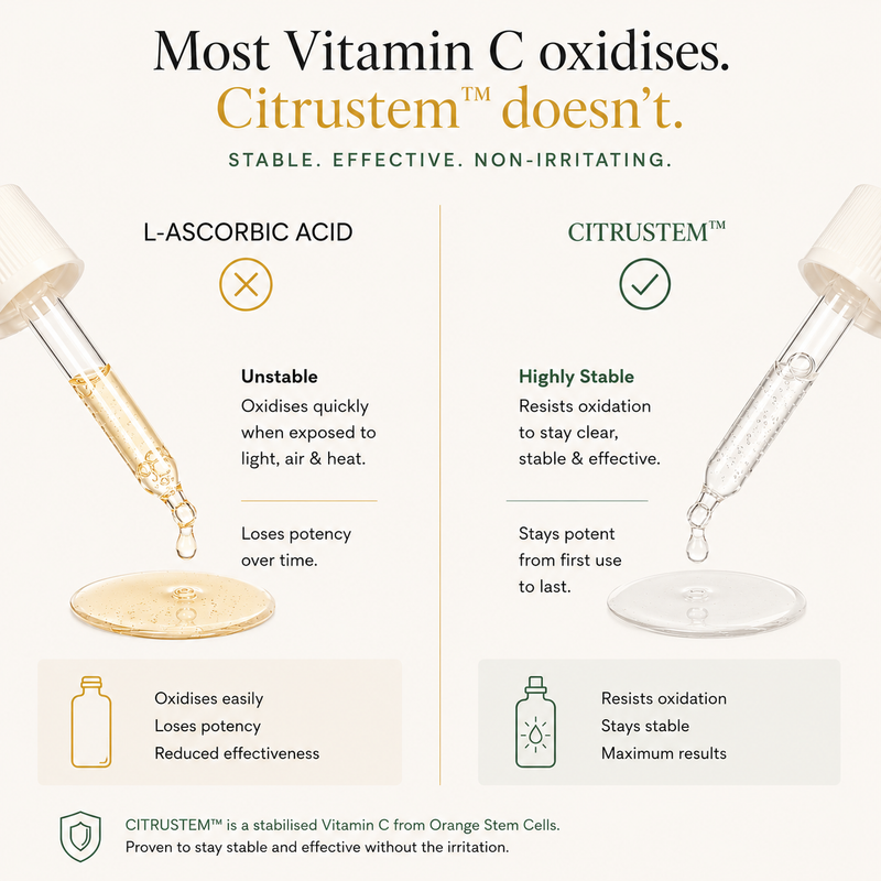 Morning Person Beauty Stem-C Vitamin C Brightening Serum with Ferulic Acid Serum White Smoke