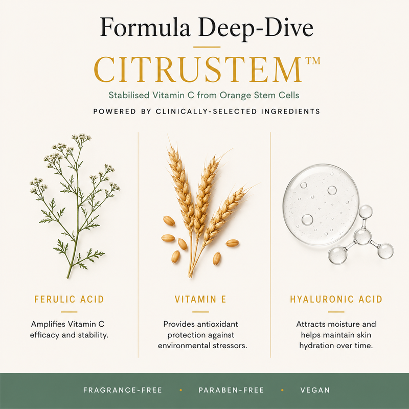 Morning Person Beauty Stem-C Vitamin C Brightening Serum with Ferulic Acid Serum Seashell