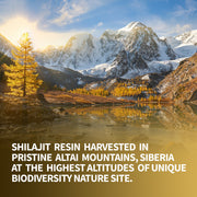 SiberianGreen.com Shilajit 120 Dry Drops: Altai Golden Mountains Shilajit by Siberian Green Herbs Dark Olive Green
