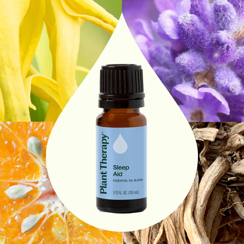 Plant Therapy Sleep Aid Essential Oil Blend Essential Oil Dark Slate Gray 10 mL