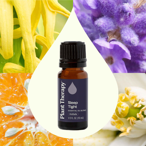 Plant Therapy Sleep Tight Essential Oil Blend Essential Oil Seashell 10 mL,30 mL
