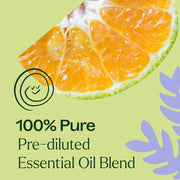 Plant Therapy Sleep Tight Essential Oil Blend Pre-Diluted Roll-On Essential Oil Khaki 10 mL