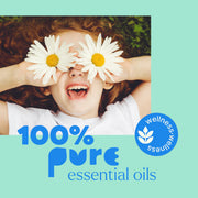 Plant Therapy Sniffle Stopper Essential Oil Essential Oil Powder Blue 10 mL,30 mL