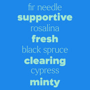 Plant Therapy Sniffle Stopper Essential Oil Essential Oil Dodger Blue 10 mL,30 mL