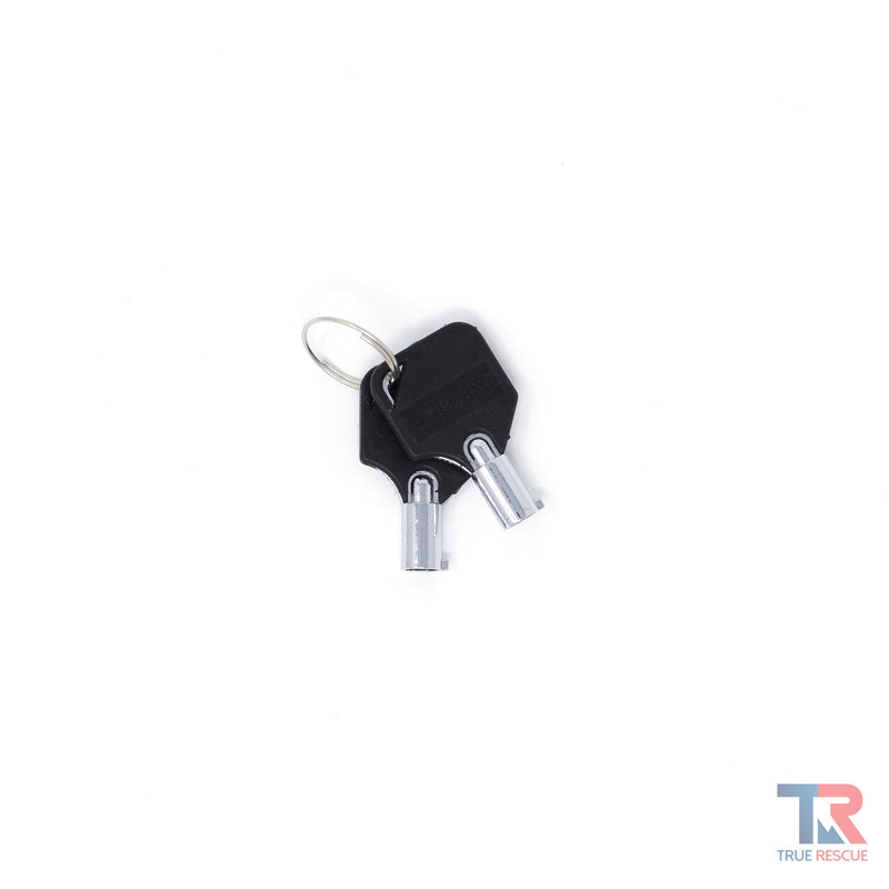True Rescue Spare Keys for Alarmed Cabinets Cabinet Dark Slate Gray