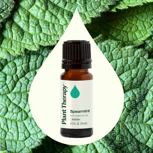 Plant Therapy Spearmint Essential Oil Essential Oil Medium Sea Green 10 mL,30 mL,100 mL