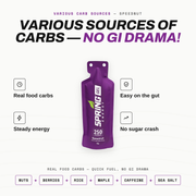 myspringenergy Nuts And Berries with 50 mg Caffeine (Vegan) 250 Kcal- Speednut Gel White Smoke 1 qty,20 pack