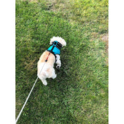 CoyoteVest SpikeHarness Vest Dark Olive Green Medium / Red,Medium / Yellow,Medium / Neon Pink,Medium / Turquoise,Medium / Royal Blue,Medium / Texas Tan,Medium / Fluorescent Orange,Small / Red,Small / Yellow,Small / Neon Pink,Small / Turquoise,Small / Royal Blue,Small / Texas Tan,Small / Fluorescent O