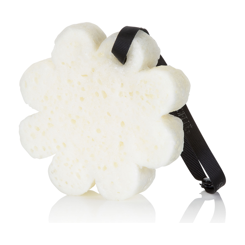 Spongellé Blackberry | Boxed Flower Body Wash Infused Buffer Lavender