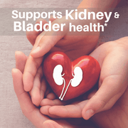 SpeedyVite® Kidney Cleanse Drops (2 fl oz) | Kidney & Bladder Support | SpeedyVite® Drops Gray 1x 2oz drops,CASE OF 6x 2oz drops