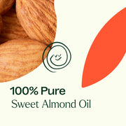 Plant Therapy Sweet Almond Carrier Oil Body Care Seashell 4 oz,16 oz
