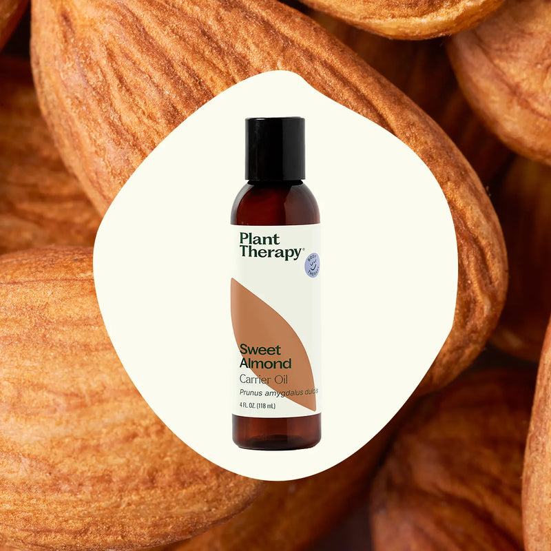 Plant Therapy Sweet Almond Carrier Oil Body Care Seashell 4 oz,16 oz