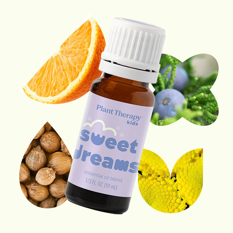 Plant Therapy Sweet Dreams Essential Oil Essential Oil Seashell 10 mL,30 mL