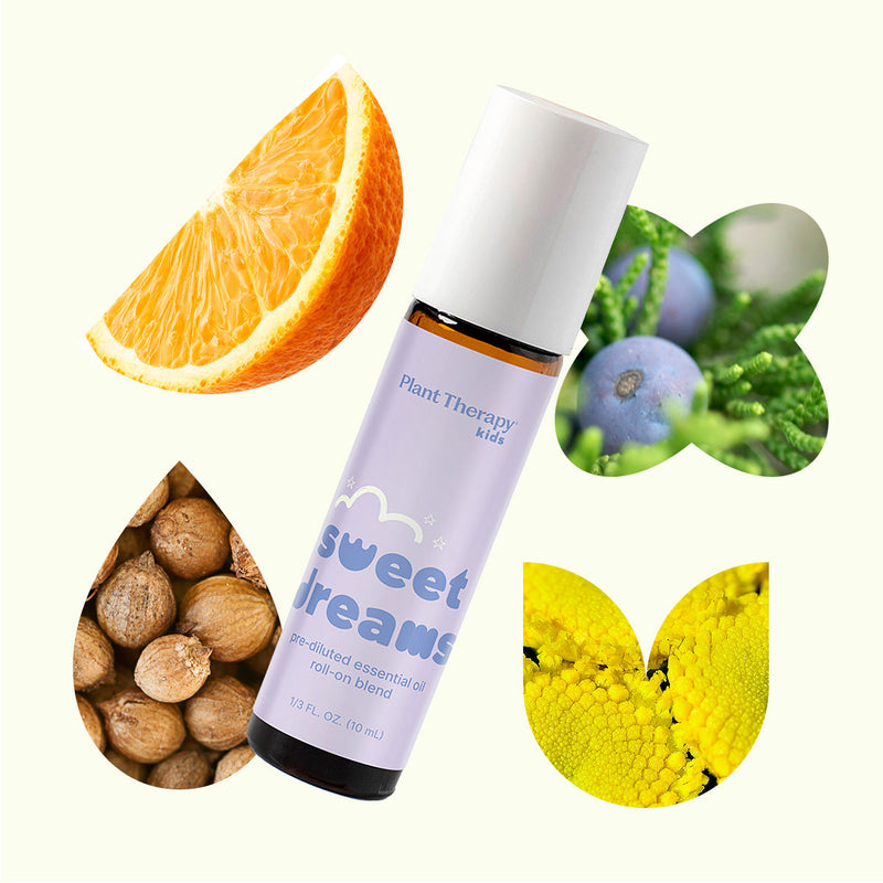 Plant Therapy Sweet Dreams KidSafe Essential Oil Pre-Diluted Roll-On Essential Oil Seashell 10 mL
