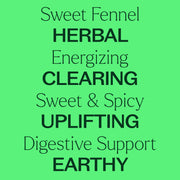 Plant Therapy Sweet Fennel Essential Oil Essential Oil Light Green 10 mL