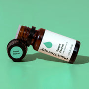 Plant Therapy Sweet Fennel Essential Oil Essential Oil Medium Aquamarine 10 mL