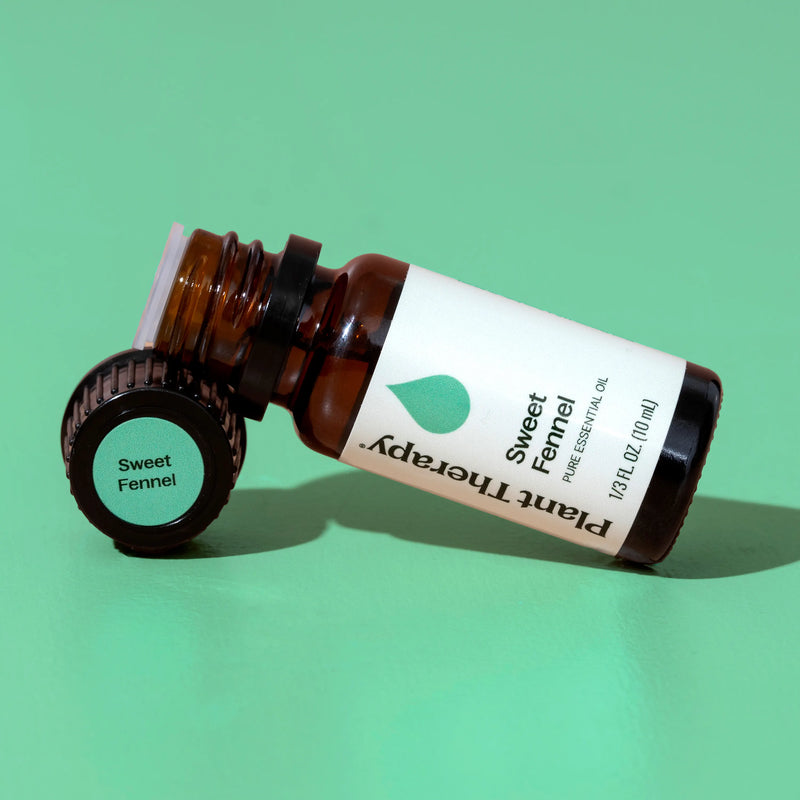 Plant Therapy Sweet Fennel Essential Oil Essential Oil Medium Aquamarine 10 mL