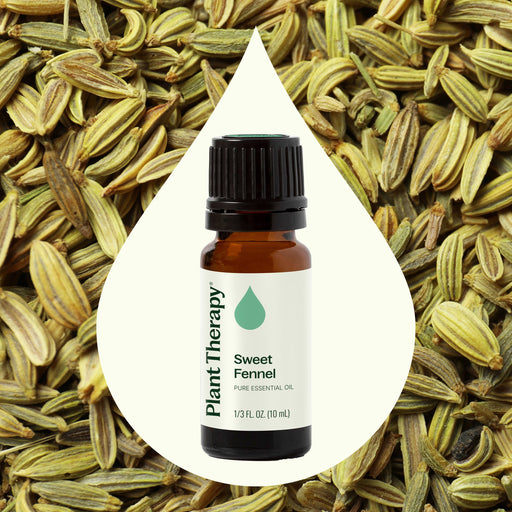 Plant Therapy Sweet Fennel Essential Oil Essential Oil Seashell 10 mL
