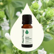 Plant Therapy Sweet Marjoram Essential Oil Essential Oil Seashell 10 mL,30 mL