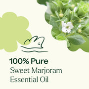 Plant Therapy Sweet Marjoram Essential Oil Essential Oil Seashell 10 mL,30 mL
