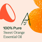 Plant Therapy Sweet Orange Essential Oil Essential Oil Antique White 10 mL,30 mL,100 mL