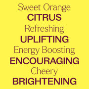 Plant Therapy Sweet Orange Essential Oil Essential Oil Light Goldenrod 10 mL,30 mL,100 mL