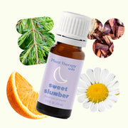 Plant Therapy Sweet Slumber Essential Oil Essential Oil Seashell 10 mL,30 mL