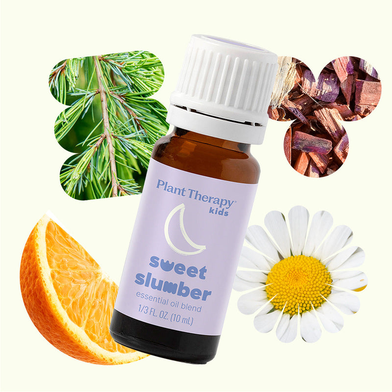 Plant Therapy Sweet Slumber Essential Oil Essential Oil Seashell 10 mL,30 mL
