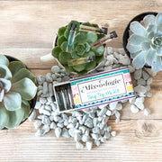 MIXOLOGIE Mixologie Tiny Try Me Kit Tiny Try Me Kit Light Gray