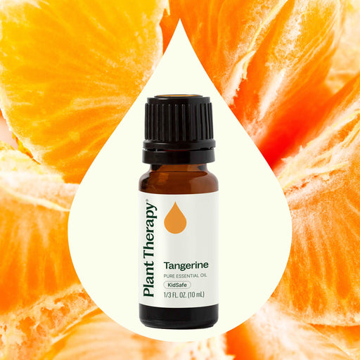 Plant Therapy Tangerine Essential Oil Essential Oil Seashell 10 mL,30 mL