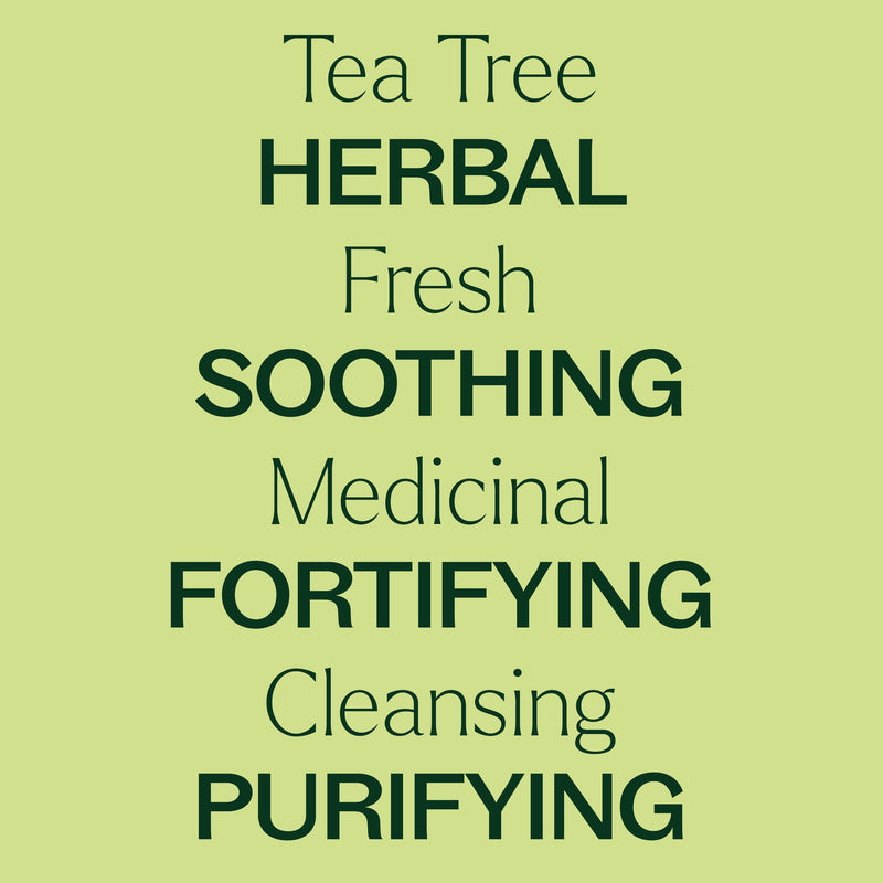 Plant Therapy Tea Tree Essential Oil Pre-Diluted Roll-On Essential Oil Tan 10 mL