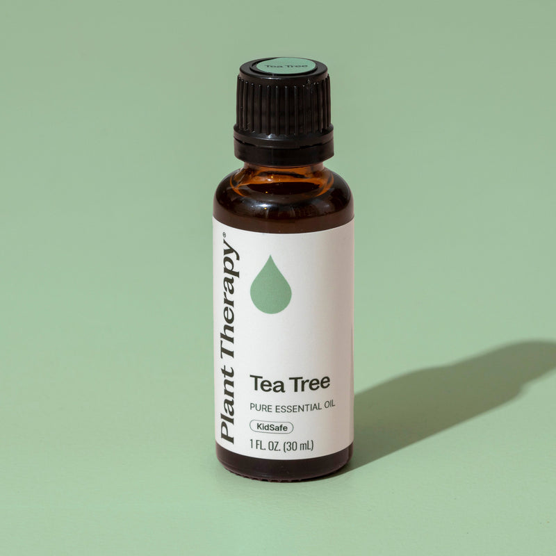 Plant Therapy Tea Tree Essential Oil Essential Oil Dark Gray 10 mL,30 mL,100 mL