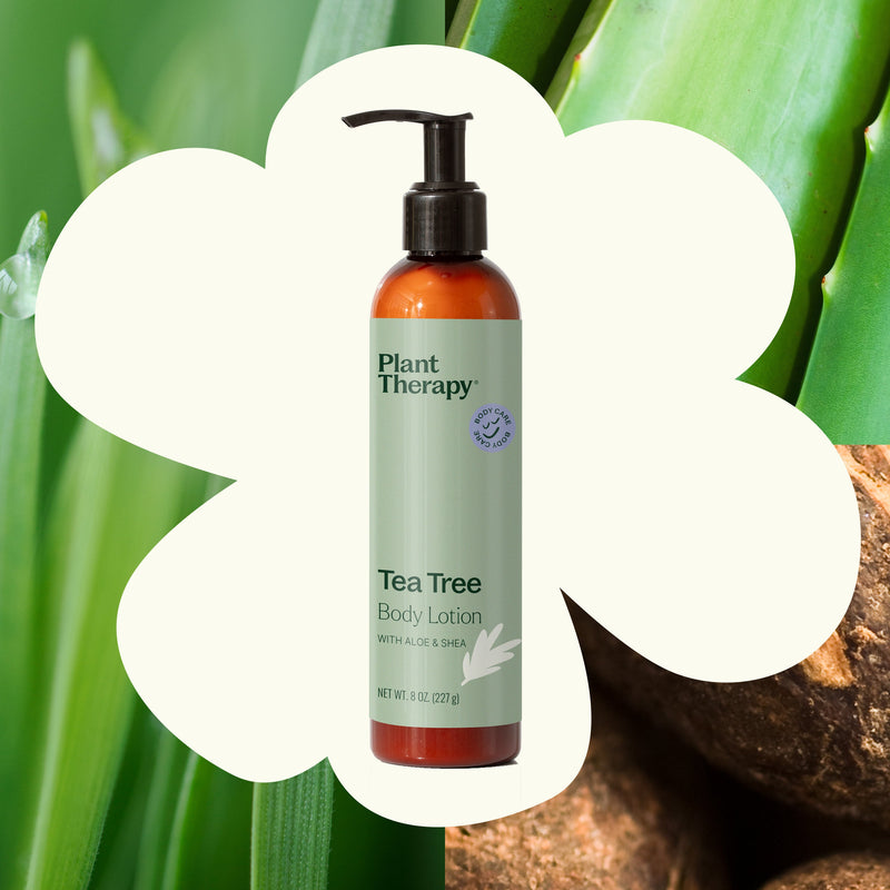 Plant Therapy Tea Tree Body Lotion with Aloe and Shea Body Care Dark Olive Green 8 oz