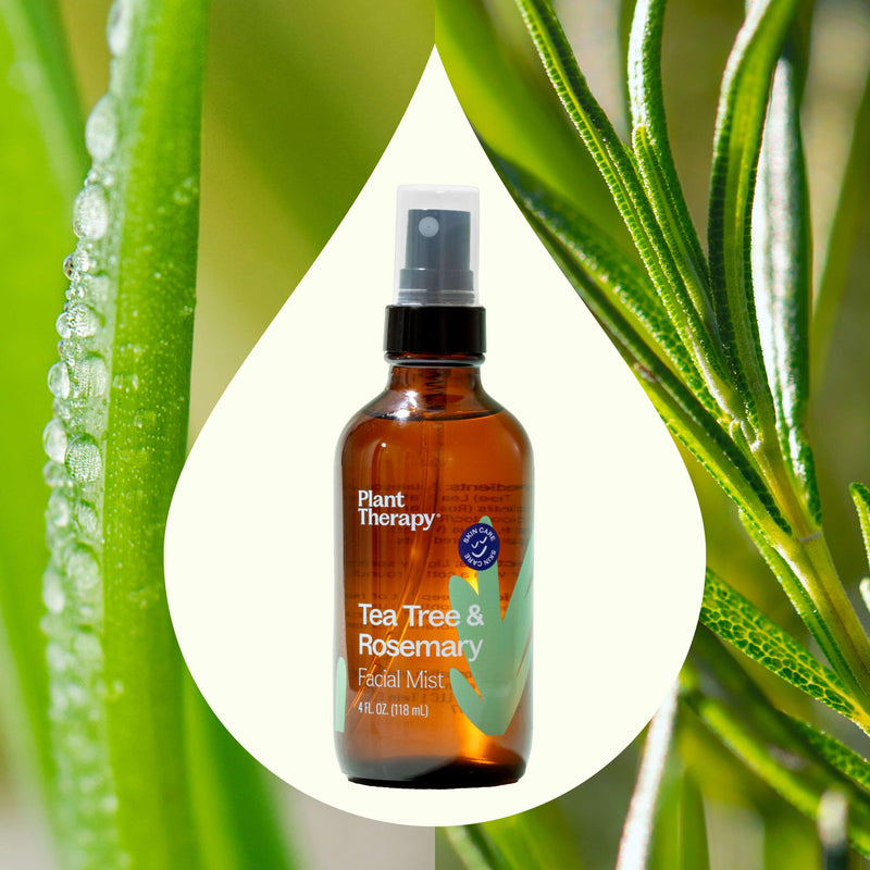 Plant Therapy Tea Tree & Rosemary Facial Mist Hair & Skin Care Olive Drab 4 oz