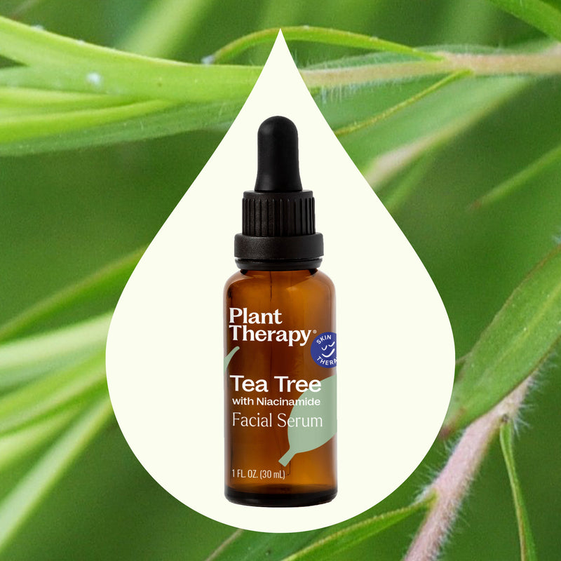 Plant Therapy Tea Tree with Niacinamide Facial Serum Hair & Skin Care Seashell 1 oz