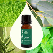 Plant Therapy Tension Relief Essential Oil Blend Essential Oil Seashell 10 mL,30 mL
