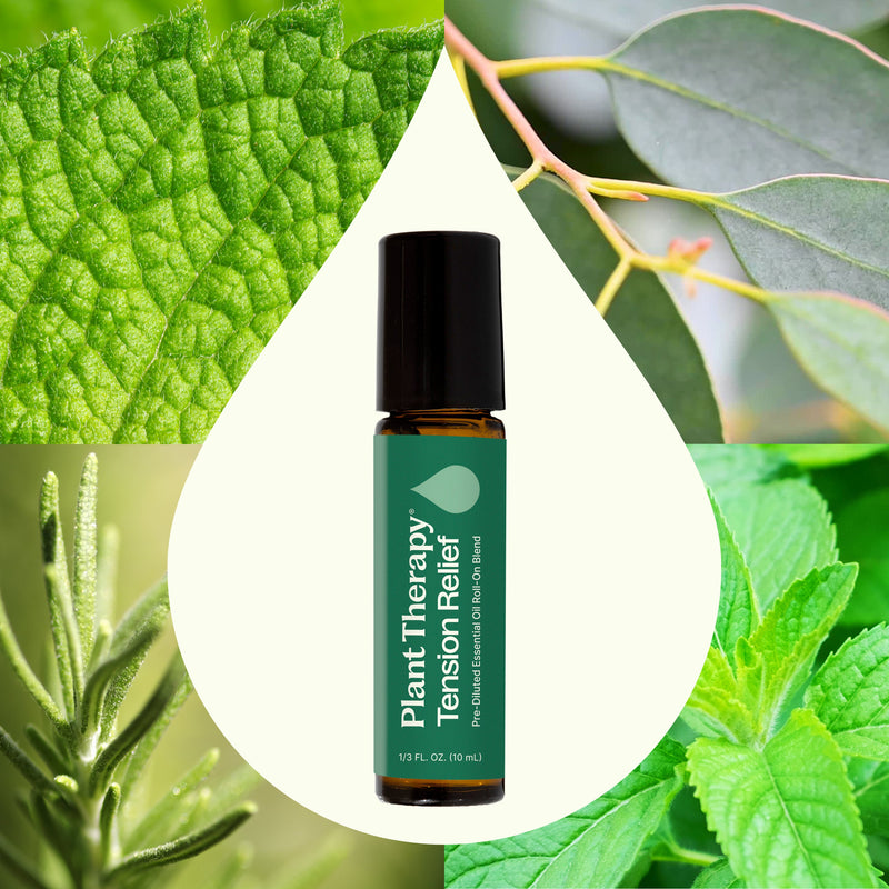 Plant Therapy Tension Relief Essential Oil Blend Pre-Diluted Roll-On Essential Oil Seashell 10 mL