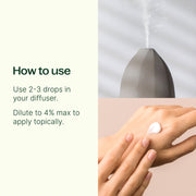 Plant Therapy Thyme Linalool Essential Oil Essential Oil Seashell 10 mL,30 mL