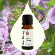 Plant Therapy Thyme Thymol Essential Oil Essential Oil Seashell 10 mL,30 mL