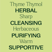 Plant Therapy Thyme Thymol Essential Oil Essential Oil Khaki 10 mL,30 mL