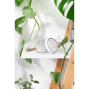 Butter Me Up Organics Tooth Powder / Toothpaste / Organic Tooth Powder / Organic Tooth Paste/ Organic Toothpaste / Clay Tooth Paste / Remineralizing Tooth Powder Teeth Light Gray Tooth Powder,Tooth Powder + Tooth Brushes,Tooth Powder + Natural Biodegradable Silk Dental Floss with Refillable Stainless Steel Metal Container,Tooth Powder + Stainless Steel Metal Tongue Cleaner Scraper