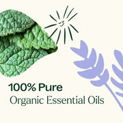 Plant Therapy Top 3 Organic Singles Set Essential Oil Dark Slate Gray
