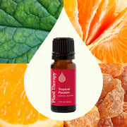 Plant Therapy Tropical Passion Essential Oil Blend Essential Oil Seashell 10 mL,30 mL