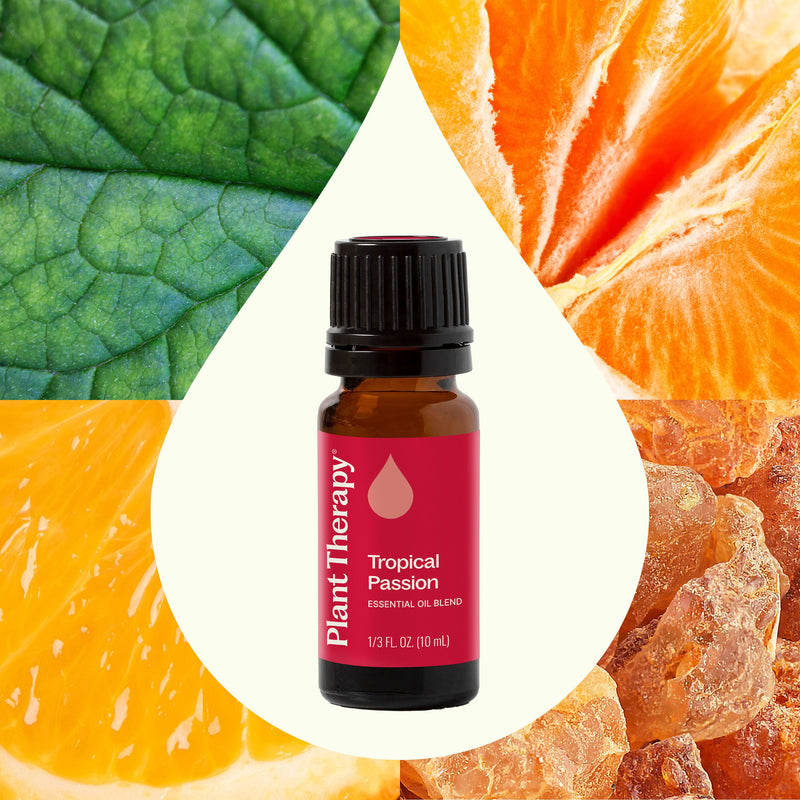 Plant Therapy Tropical Passion Essential Oil Blend Essential Oil Seashell 10 mL,30 mL
