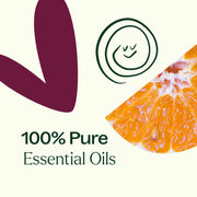Plant Therapy Tropical Passion Essential Oil Blend Essential Oil Seashell 10 mL,30 mL