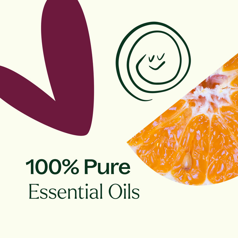 Plant Therapy Tropical Passion Essential Oil Blend Essential Oil Seashell 10 mL,30 mL
