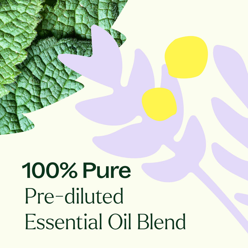 Plant Therapy True Expression (Throat Chakra) Essential Oil Pre-Diluted Roll-On Essential Oil White Smoke 10 mL