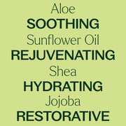 Plant Therapy Unscented Body Lotion with Aloe and Shea Body Care Khaki 8 oz